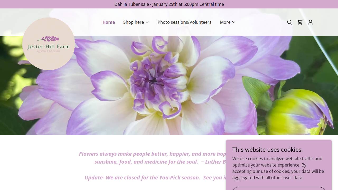 Favorite Sister Farm website screenshot