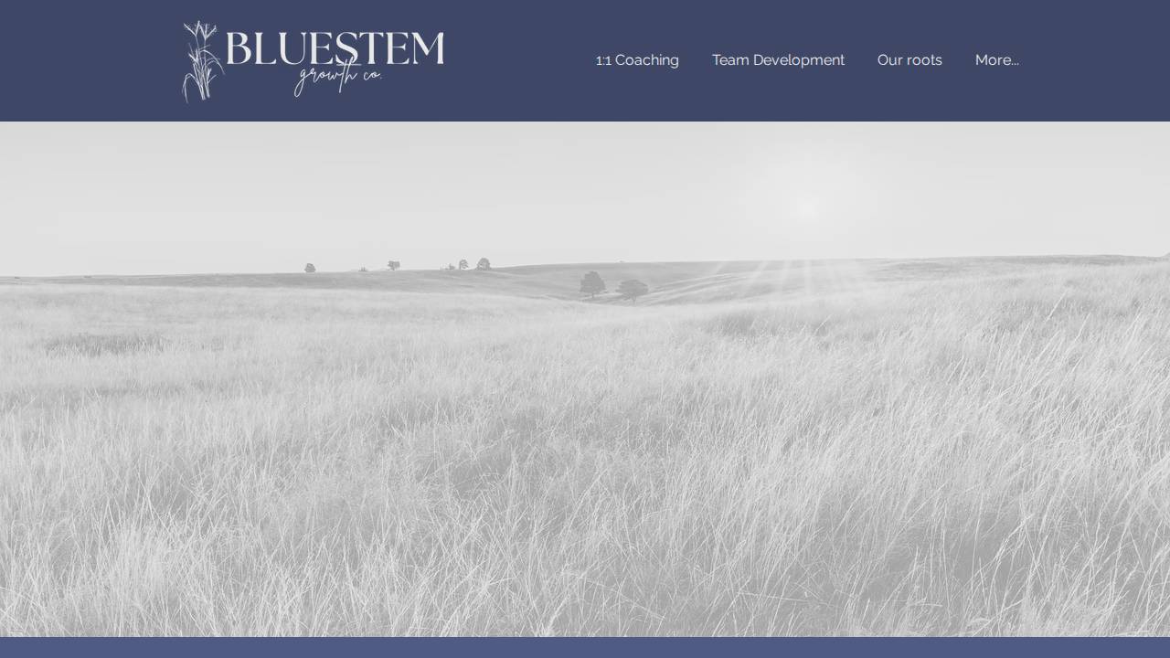 Bluestem Growth Co. website screenshot