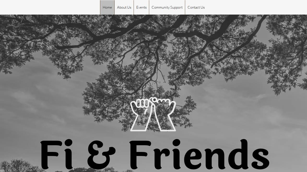 Fi And Friends website screenshot