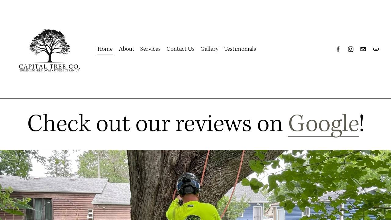 Capital Tree Company website screenshot