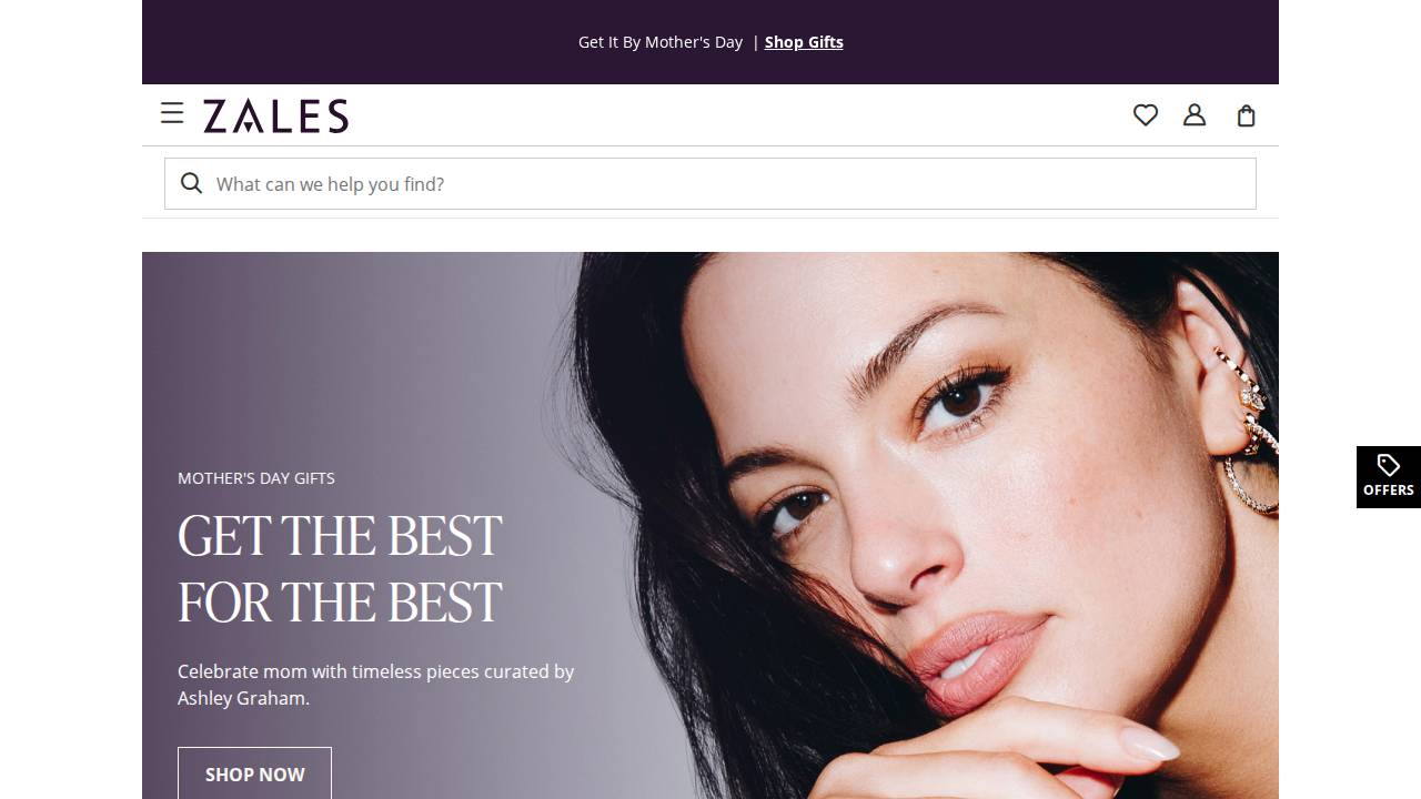 Zale Delaware Inc. website screenshot