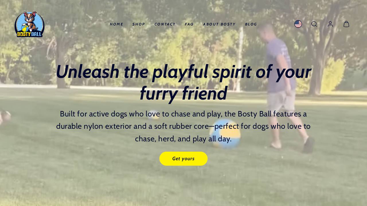 Bosty LLC website screenshot