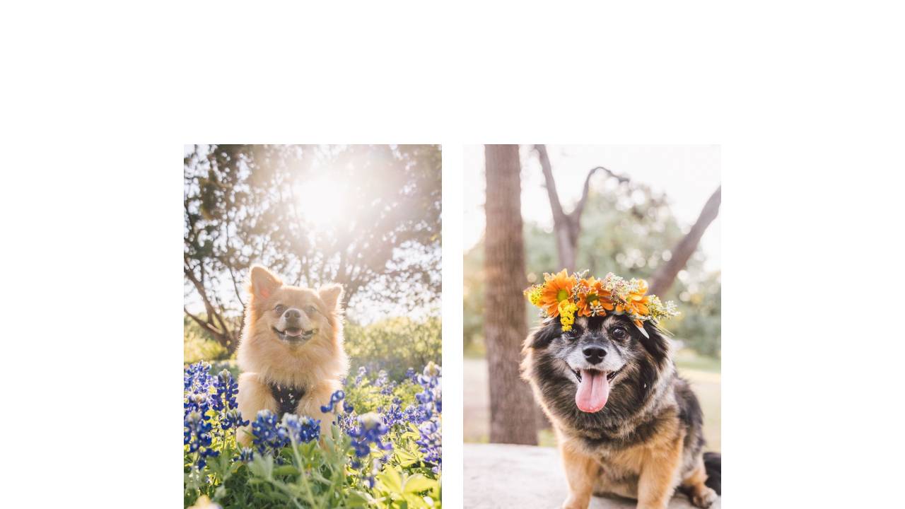 Office website screenshot