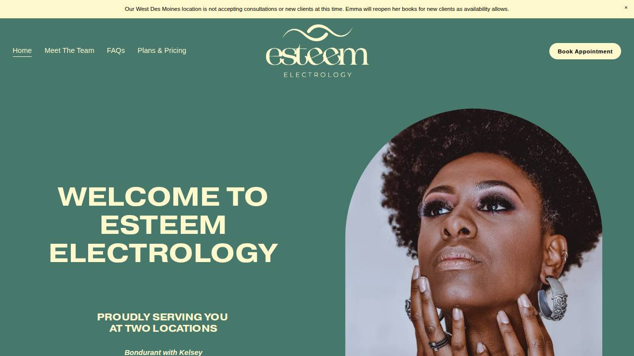 Esteem Electrology website screenshot