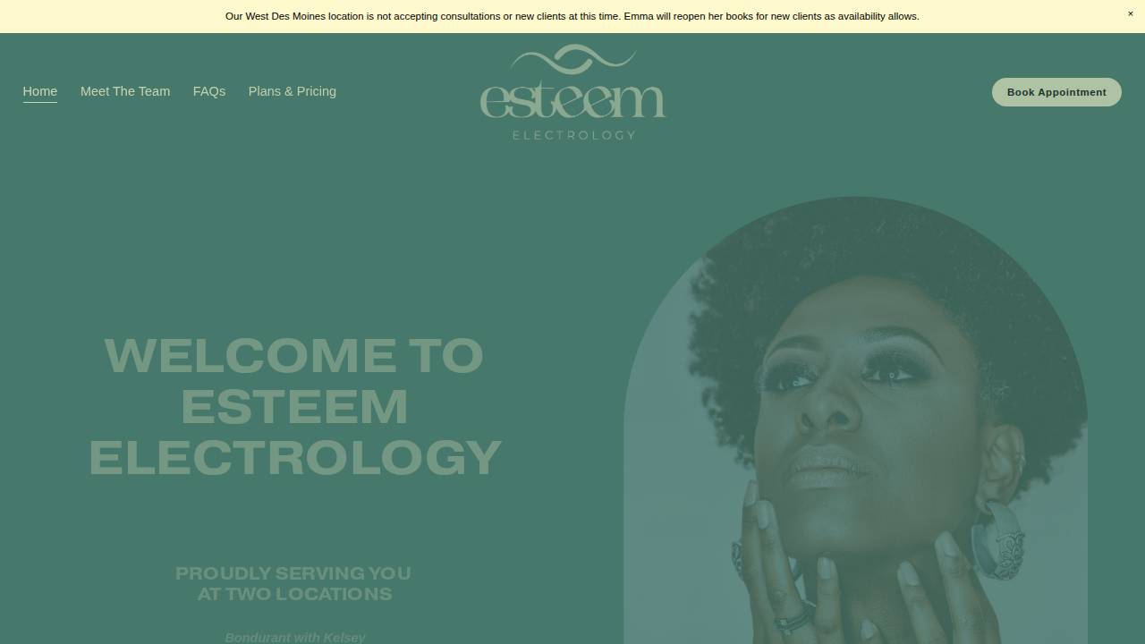 Esteem Electrology website screenshot