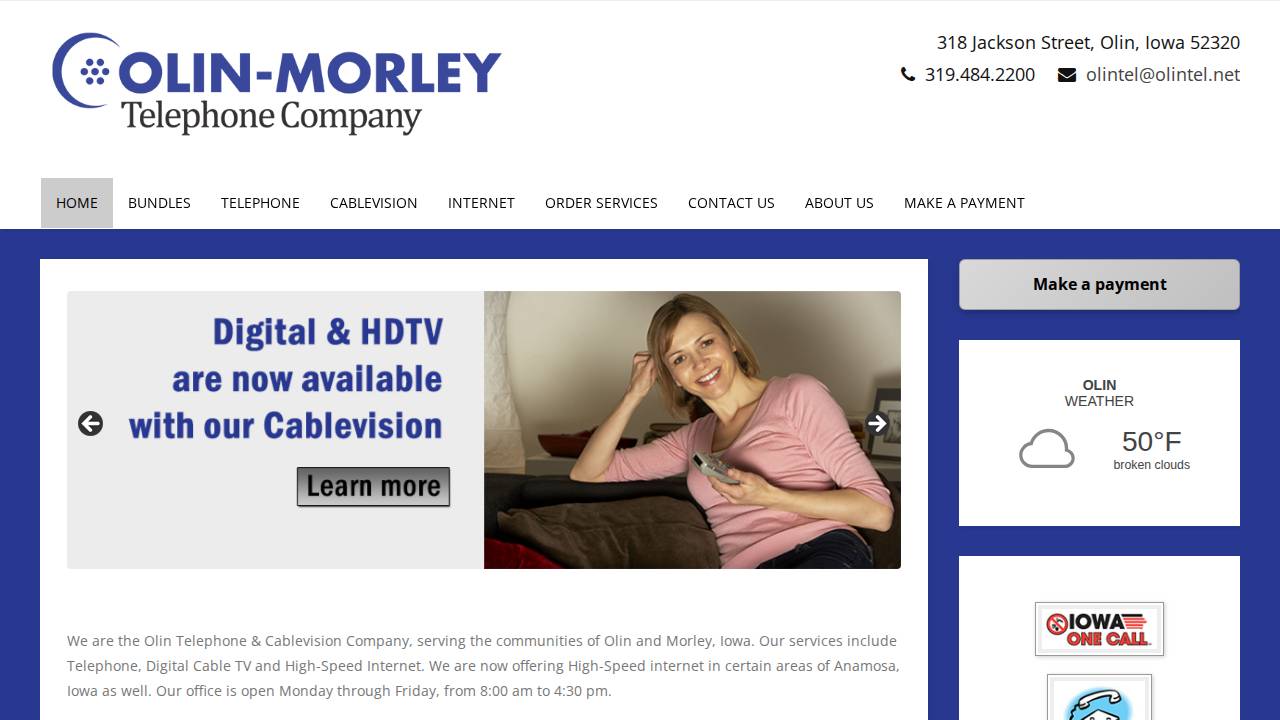 Ollin Inc. website screenshot