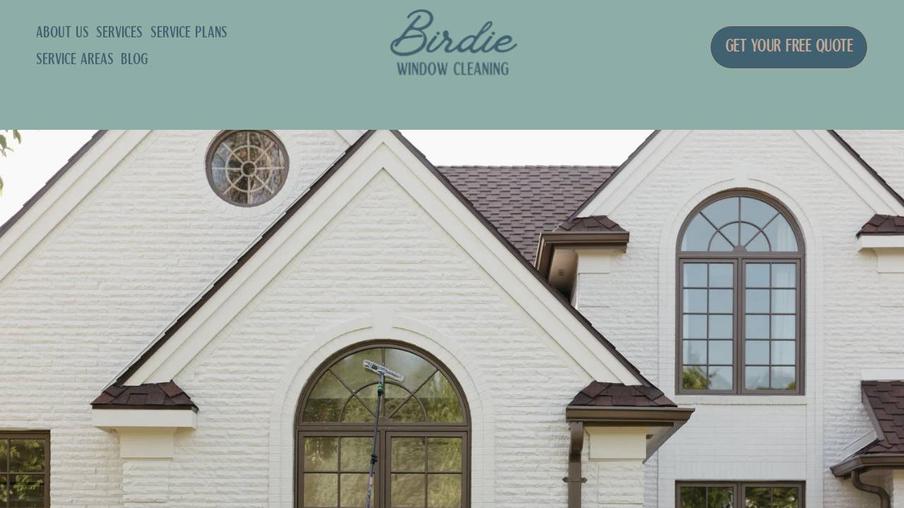 Birdie Window Cleaning website screenshot