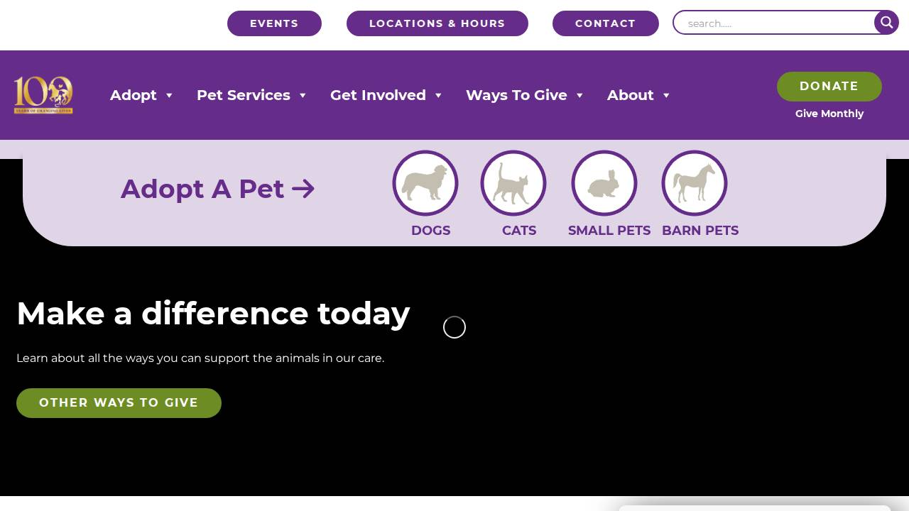 Homeless Veterinary Services website screenshot