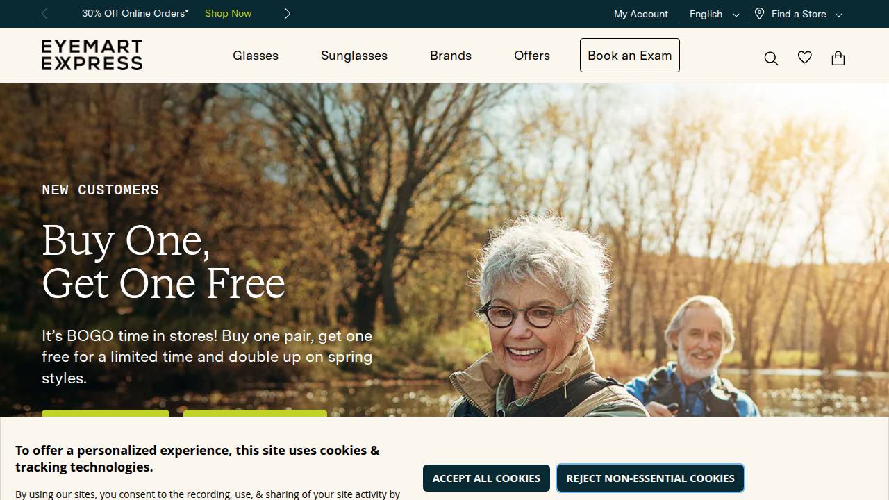 Vision 4 Less website screenshot