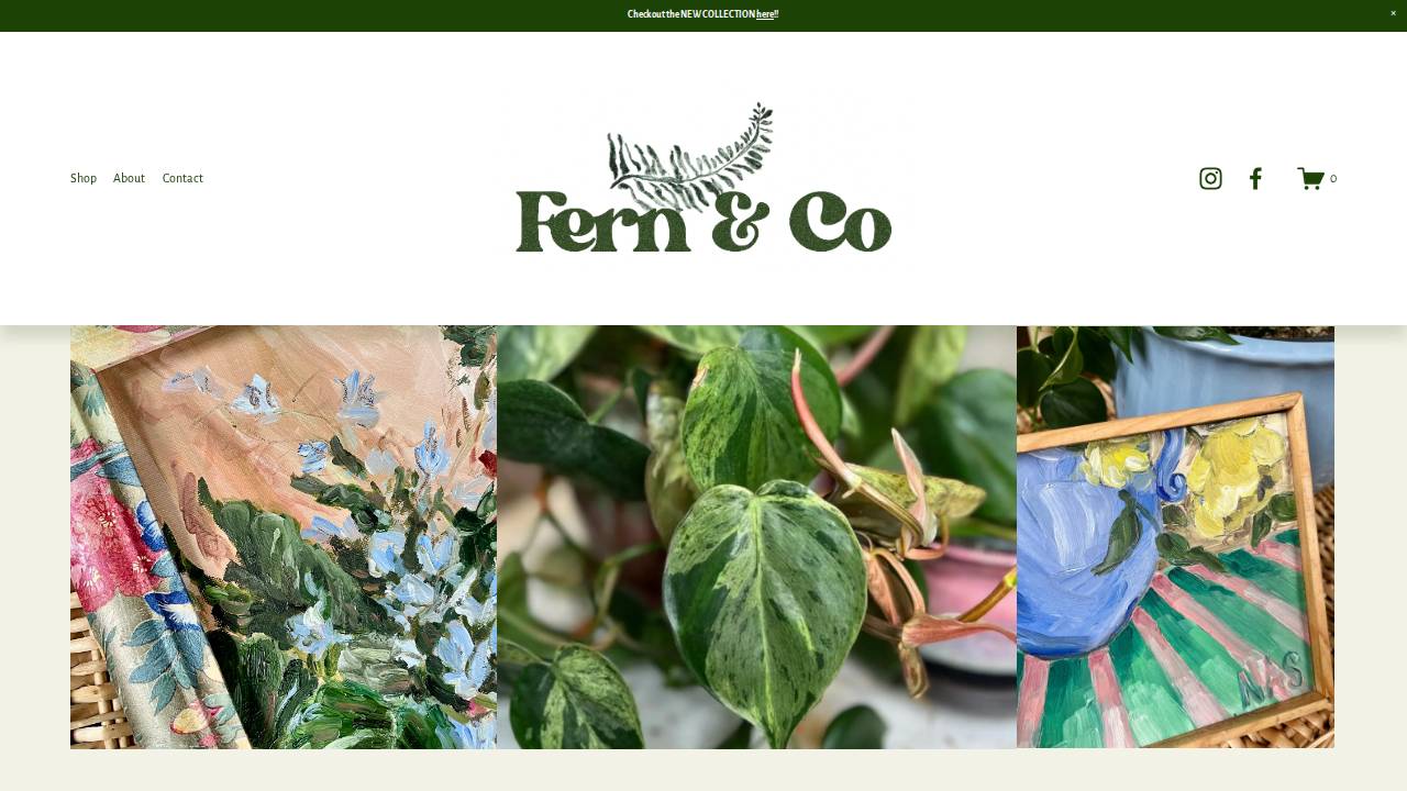 Fern & Co. website screenshot