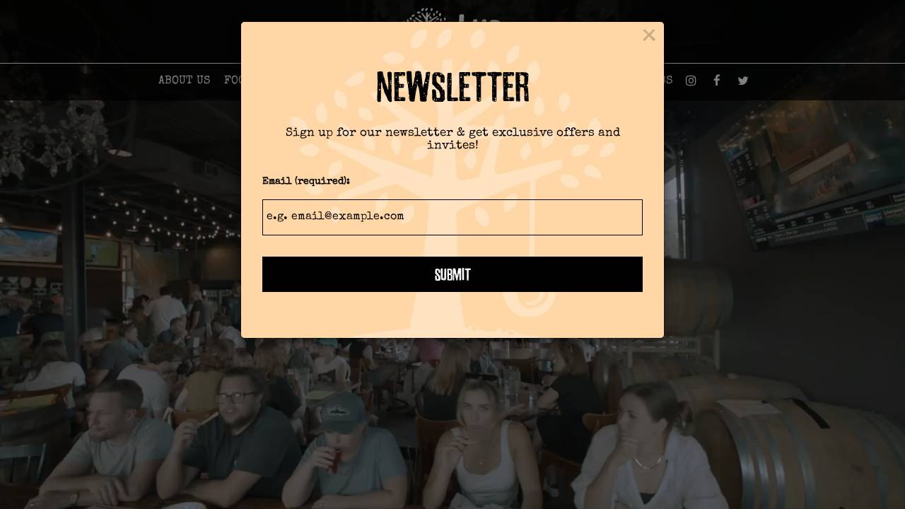 Lunar Beez website screenshot