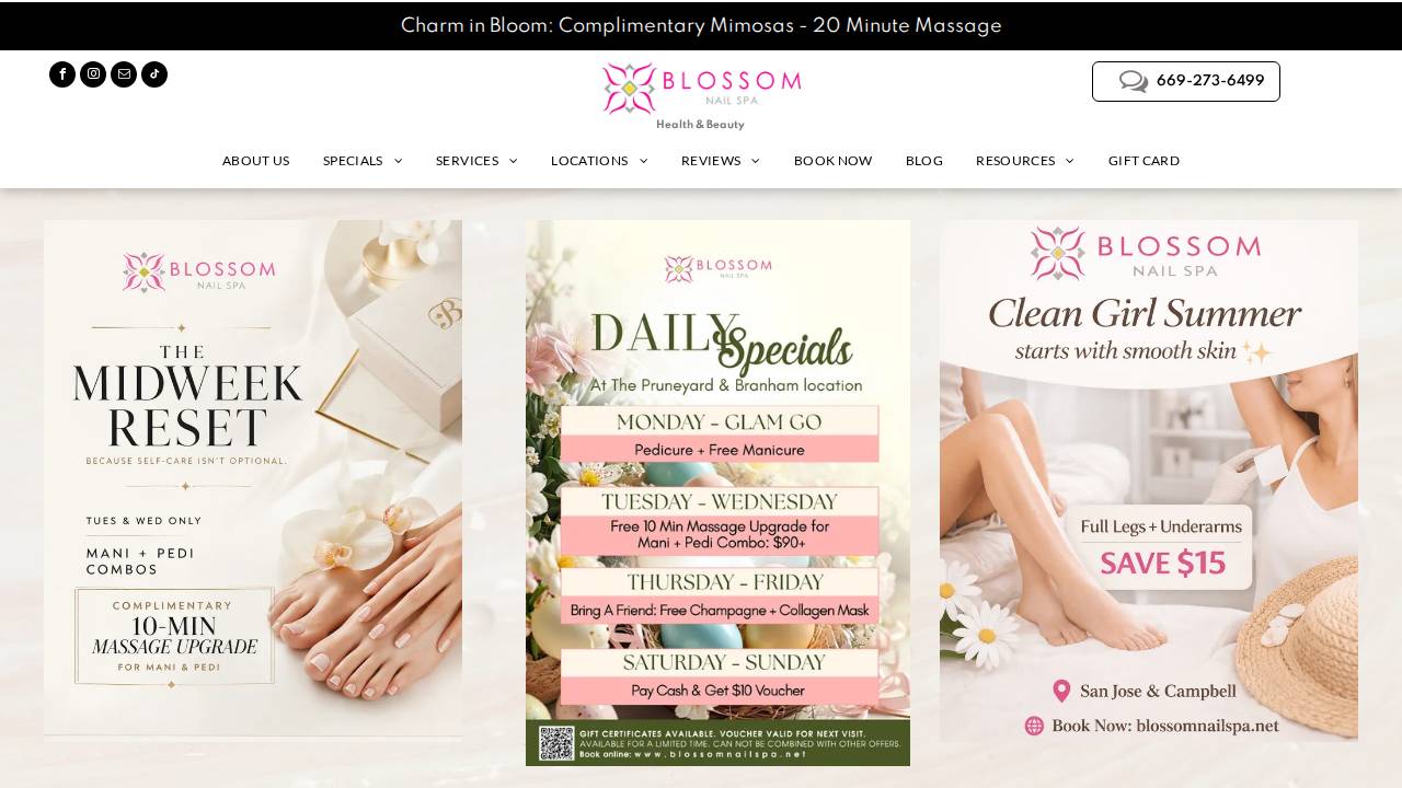 The Nail Gallery website screenshot