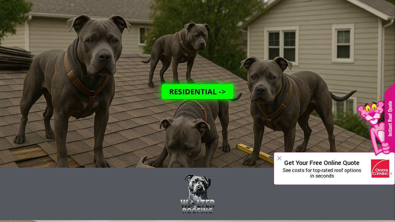 Walter Commercial Roofing Solutions website screenshot