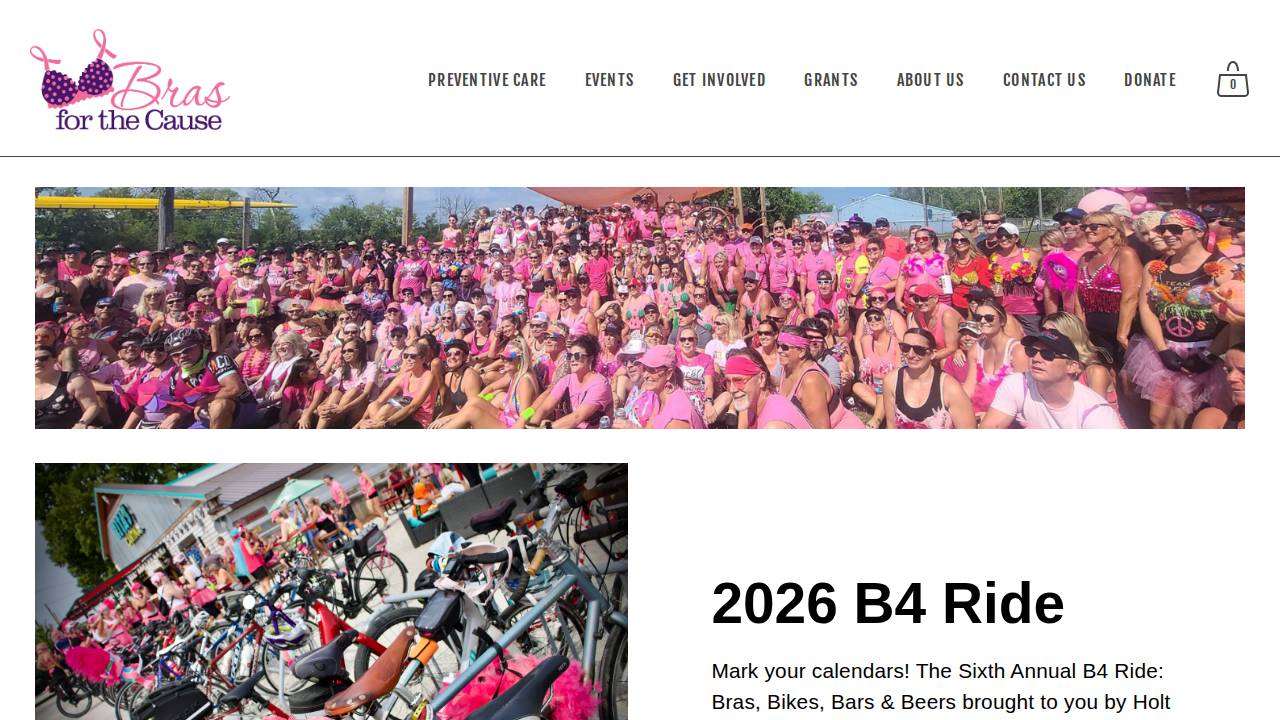 Bras For The Cause Iowa Foundation Inc. website screenshot