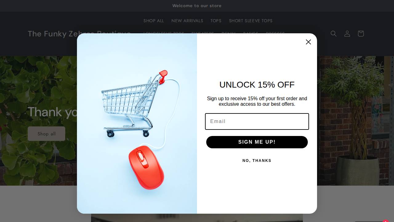 The Funky Zebras website screenshot