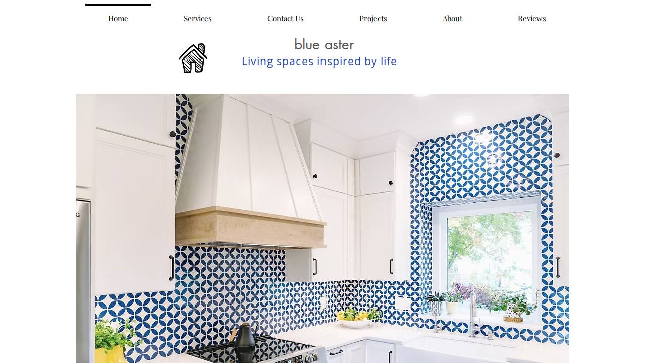 Blue Aster website screenshot