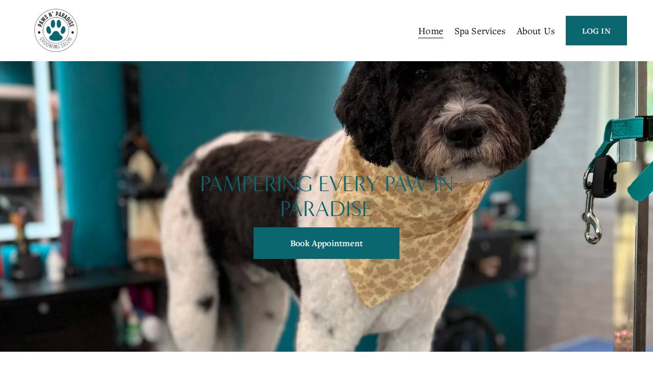 Paws N’ Paradise LLC website screenshot