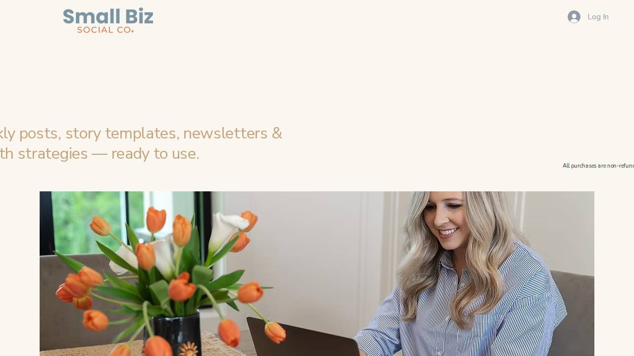 Small Biz Social Co. website screenshot