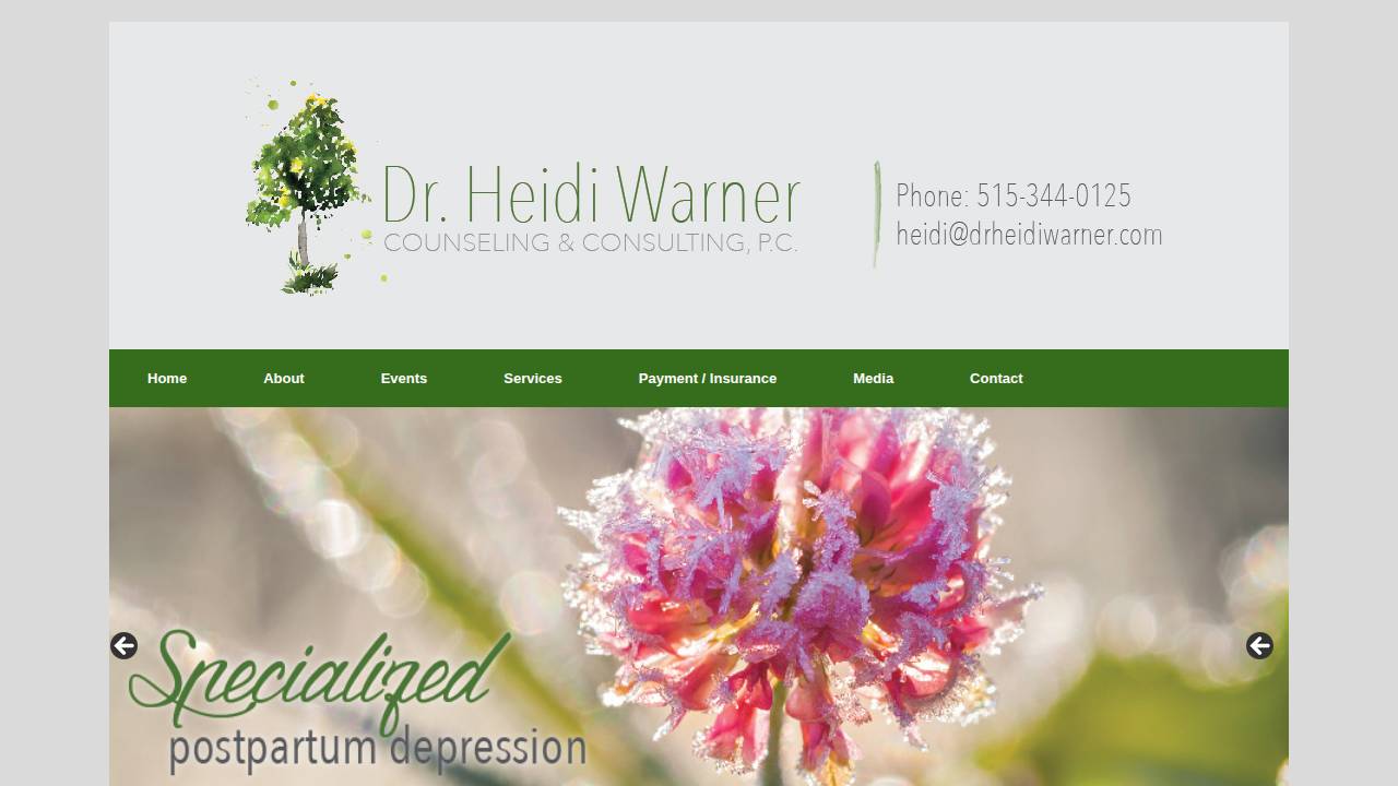 Dr. Heidi Warner Counseling And Consulting, PC website screenshot
