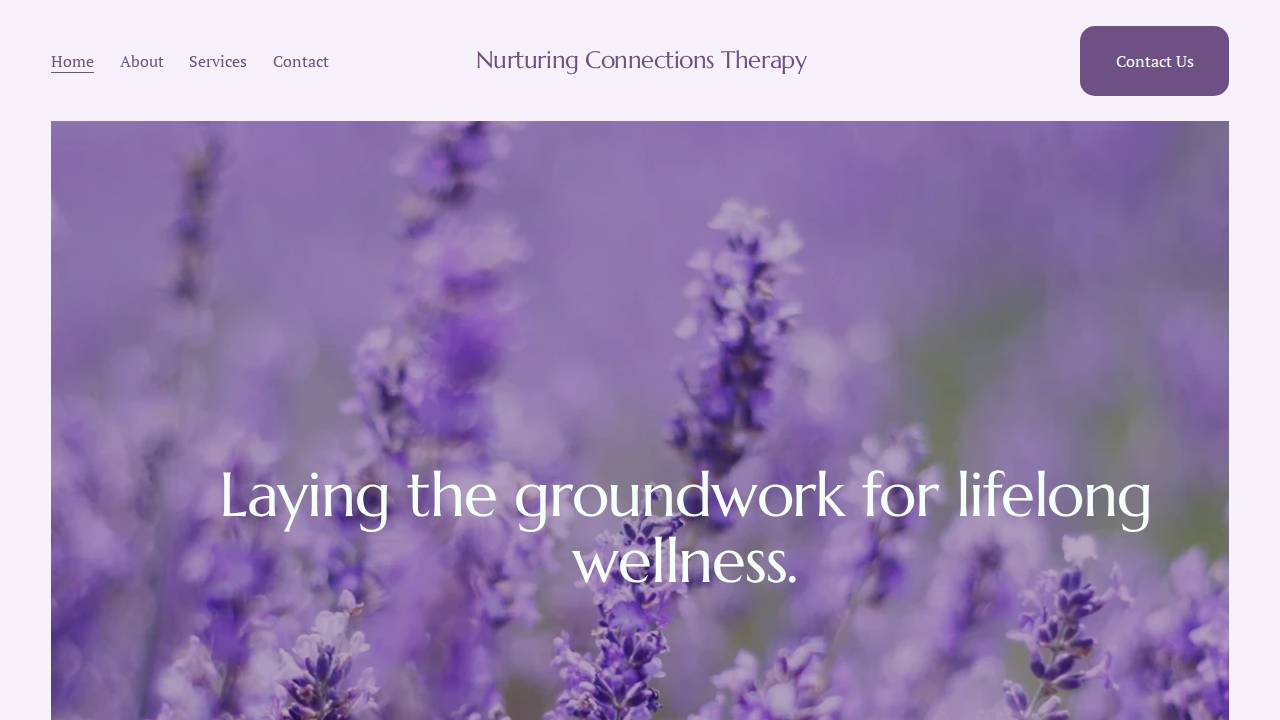 Health Connect LLC website screenshot