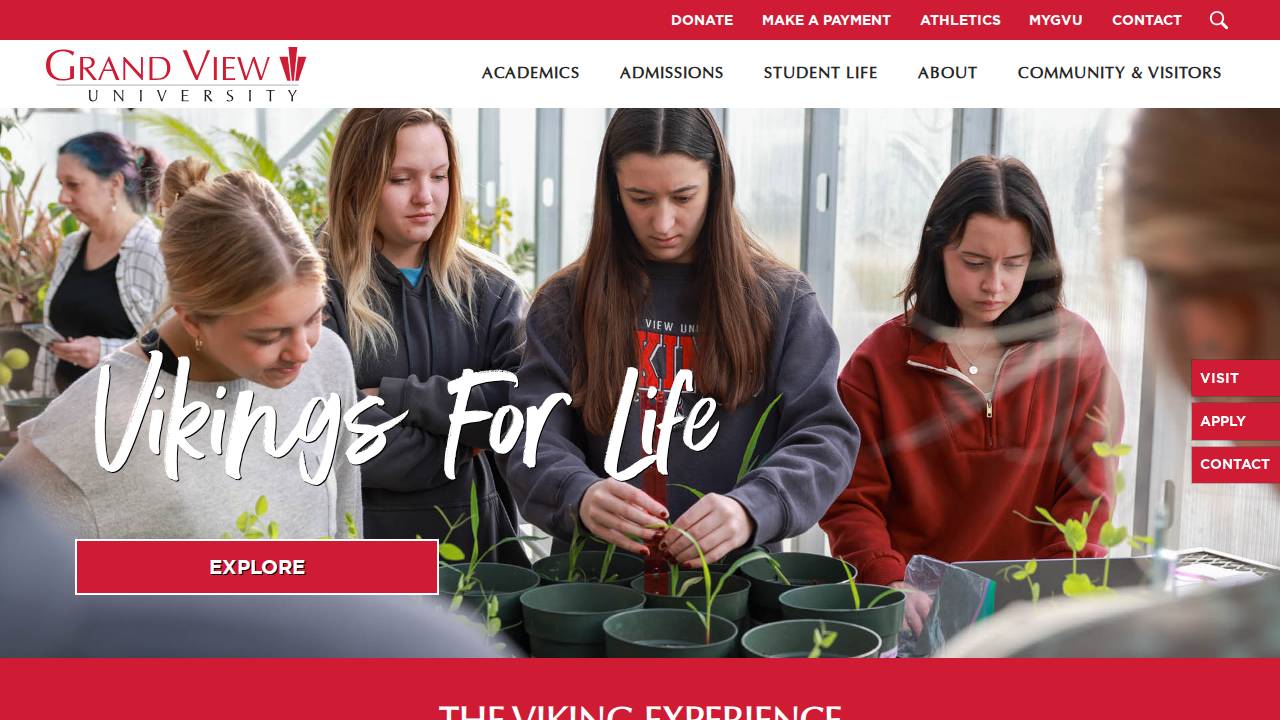 Hailey Haines website screenshot