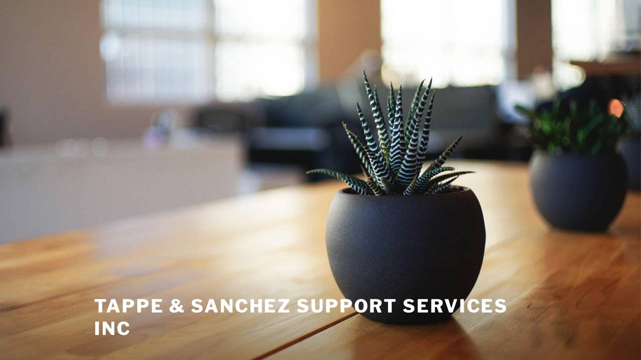 Tappe & Sanchez Support Services, LLC website screenshot