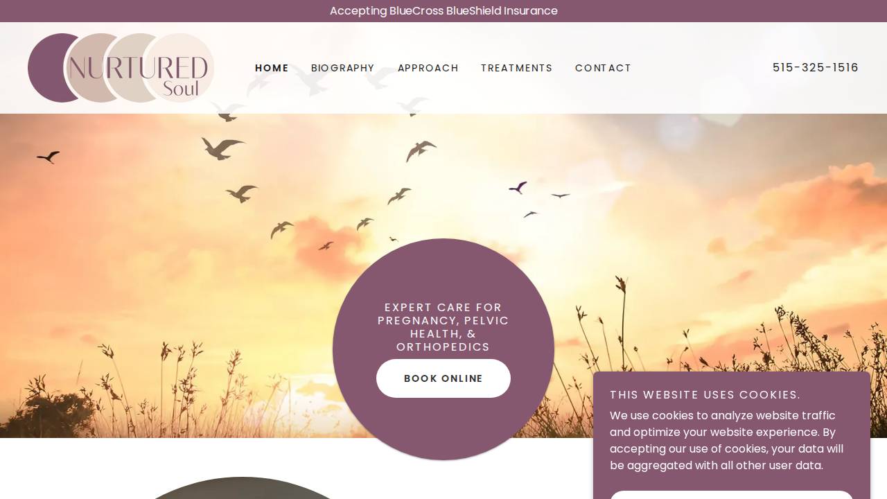Nurtured Soul Phyiscal Therapy & Wellness LLC website screenshot