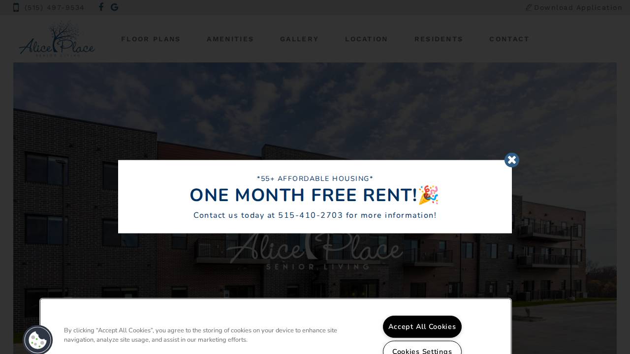 Avi Place website screenshot