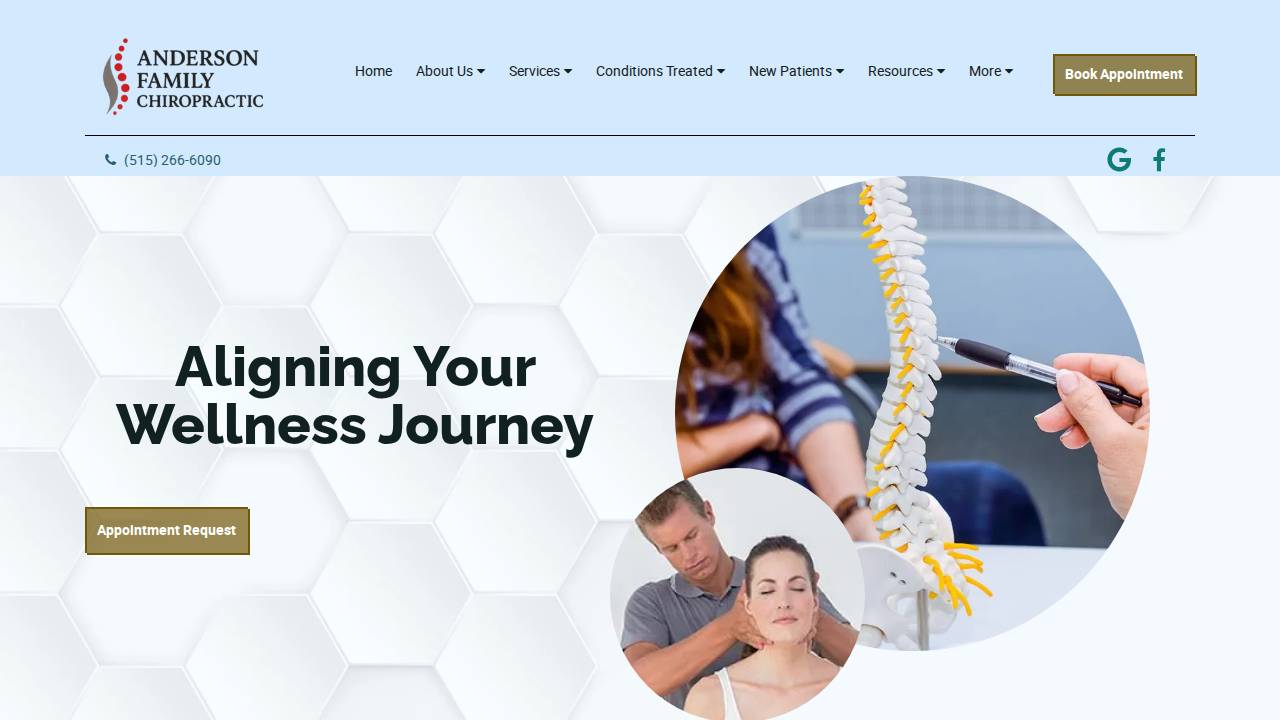 Mark Anderson, D.C website screenshot