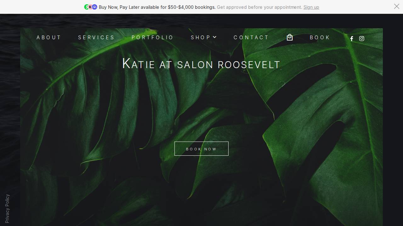 Katie A Johnson website screenshot