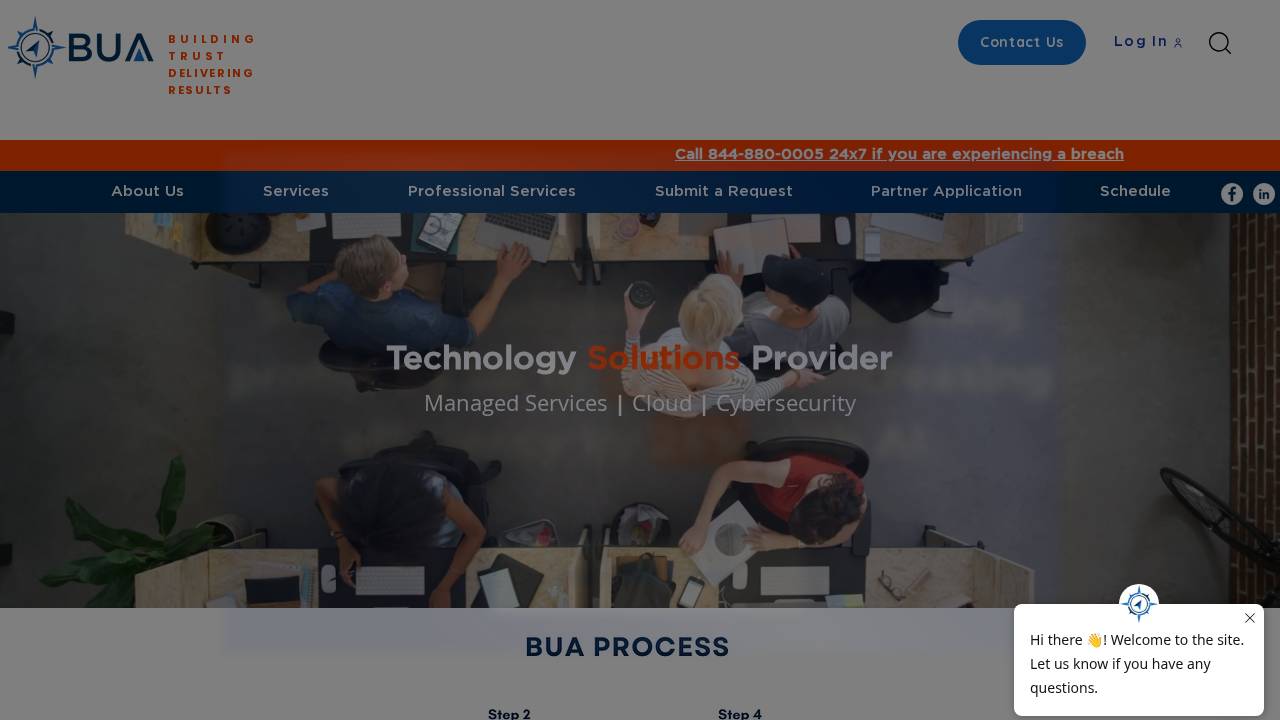 Llc Bua website screenshot