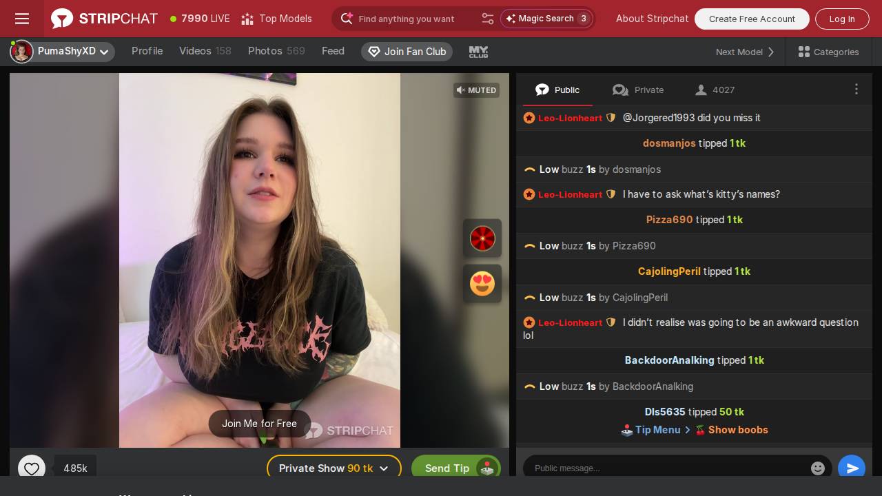 Browns Shoe FIT Company website screenshot