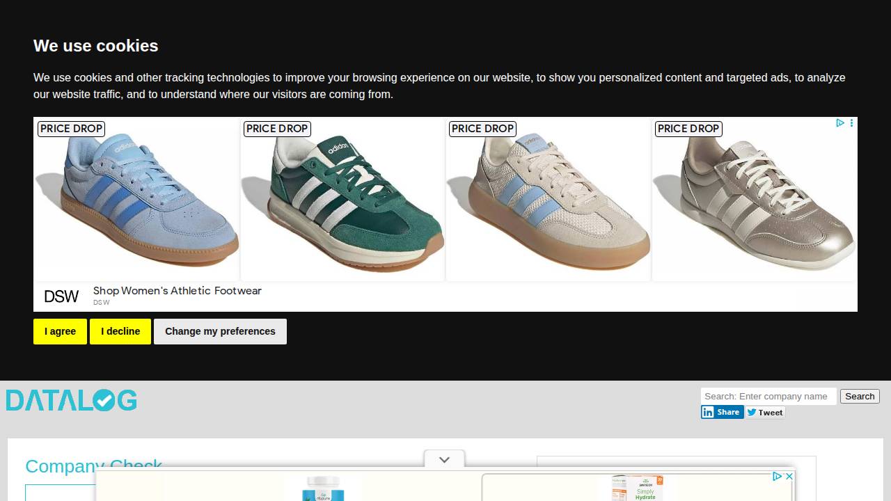Braunger Investments Inc website screenshot