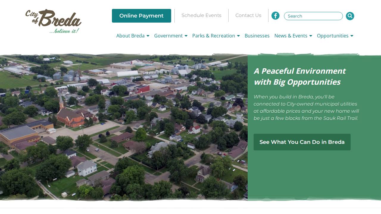 Breda Telephone Corporation AND Subsidiaries website screenshot
