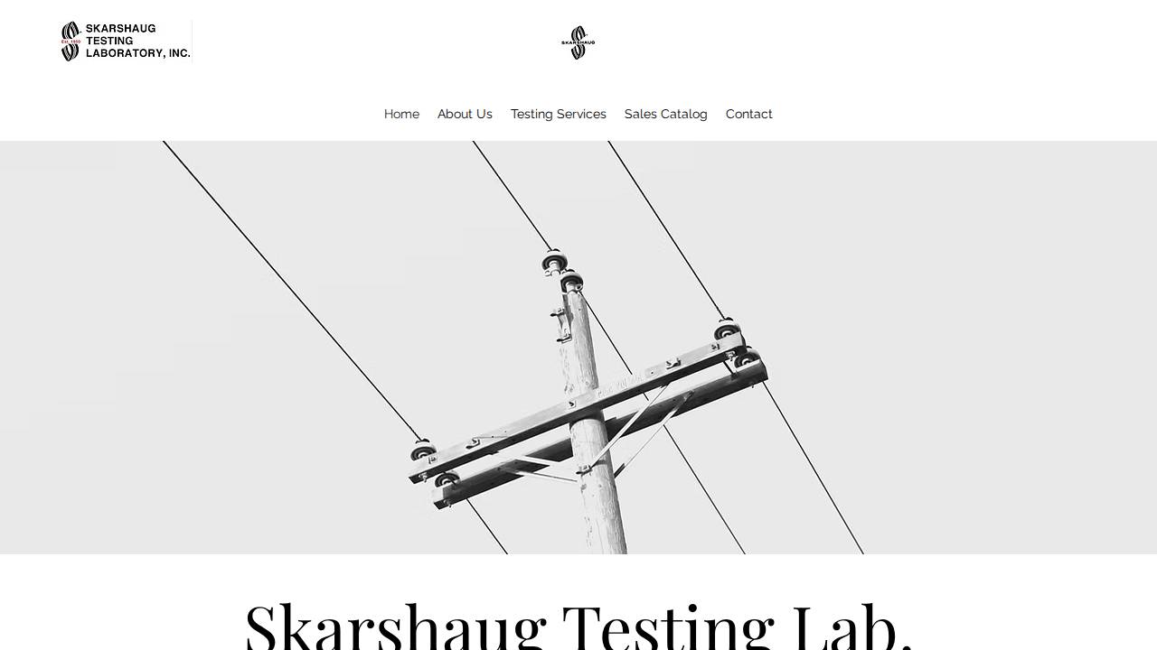 Skarshaug Testing Laboratory I website screenshot