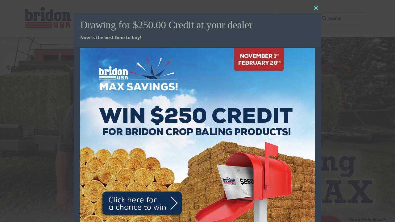 Bridon American Corp website screenshot