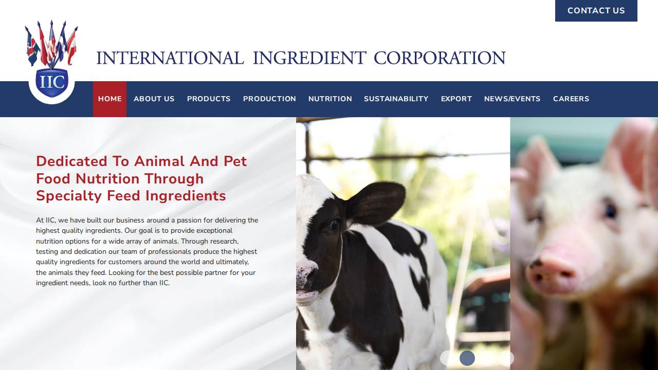 International Ingredient Corp website screenshot