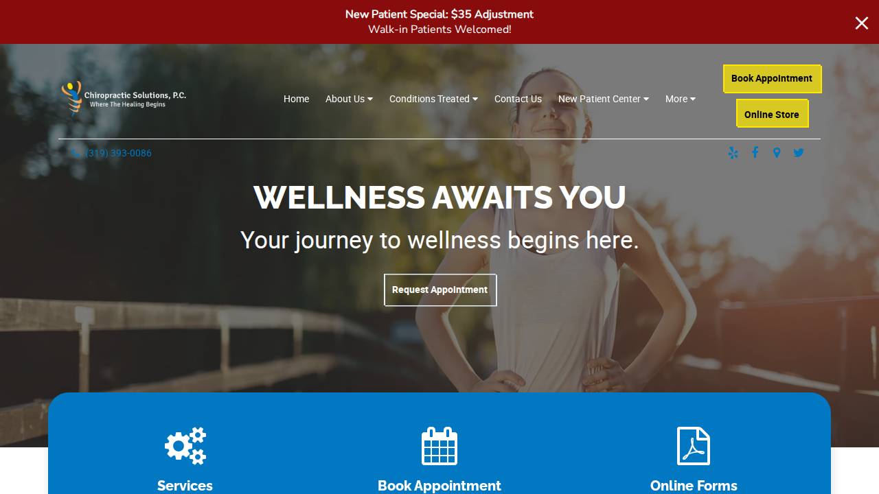 Chiropractic Professional Office PC, Chiropractic Professional website screenshot