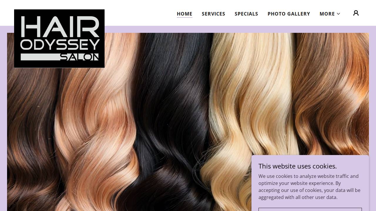 Hair Odyssey INC website screenshot