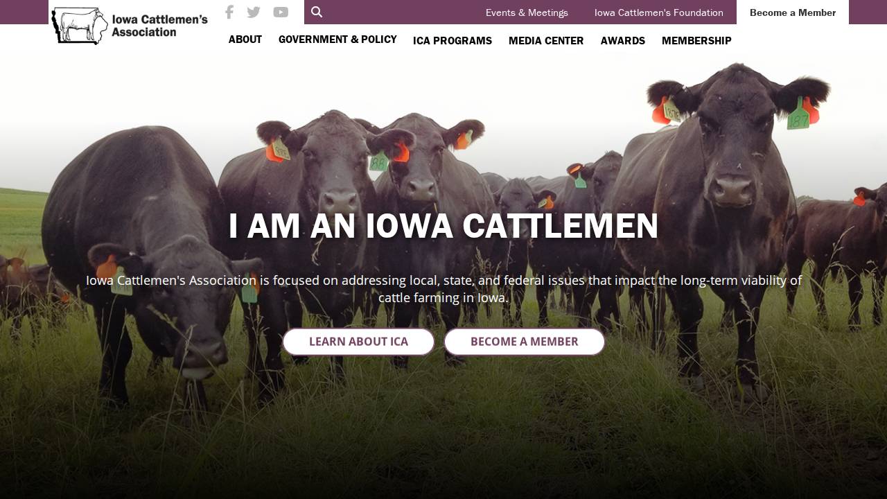 Iowa Cattlemens Assoc, ICA website screenshot