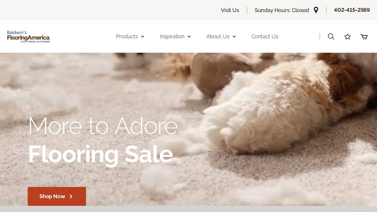 Baldwin Carpet INC website screenshot