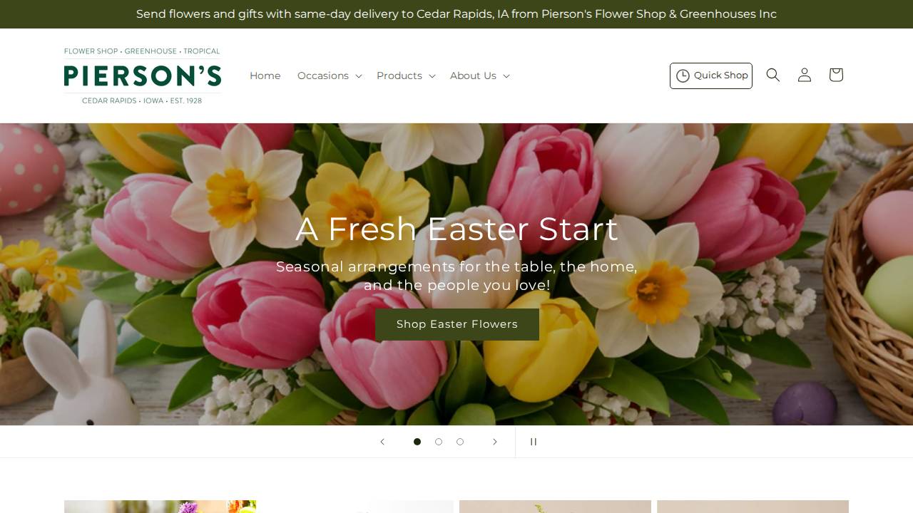 Pierson's Inc, Environments LTD website screenshot