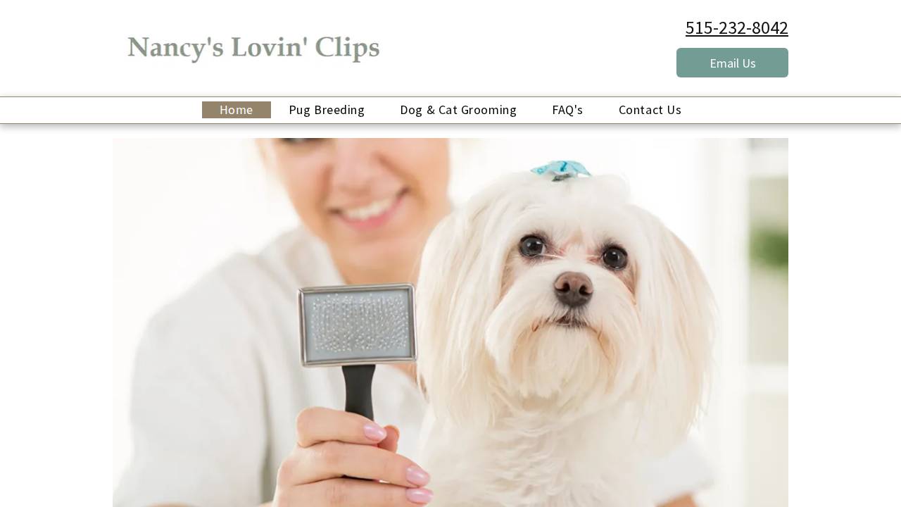 Kruse, Nancy A; Nancys Lovin Clips website screenshot