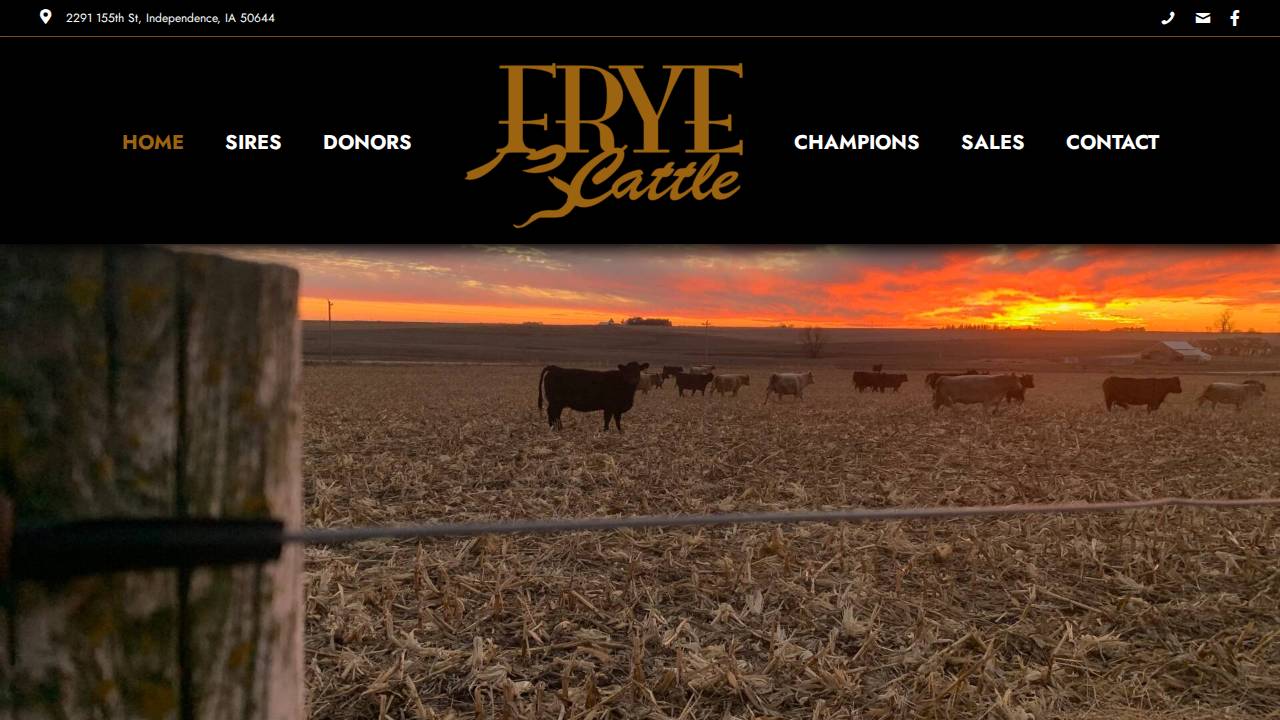 Frye & Frye Ptrs website screenshot