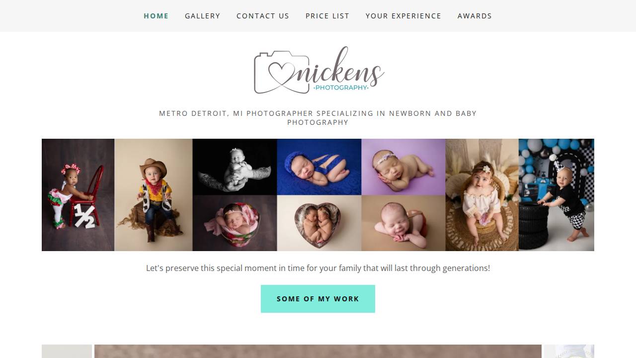 VAN Engen, James L website screenshot