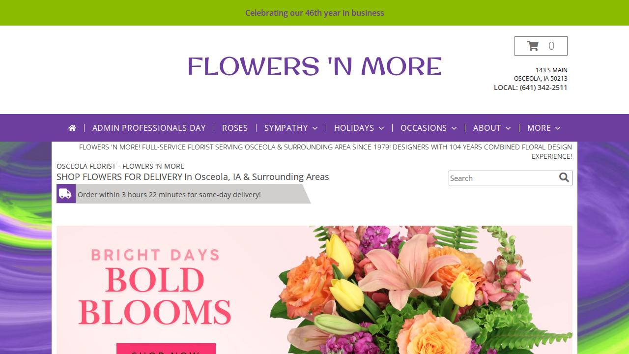 Ronda L Audlehelm website screenshot