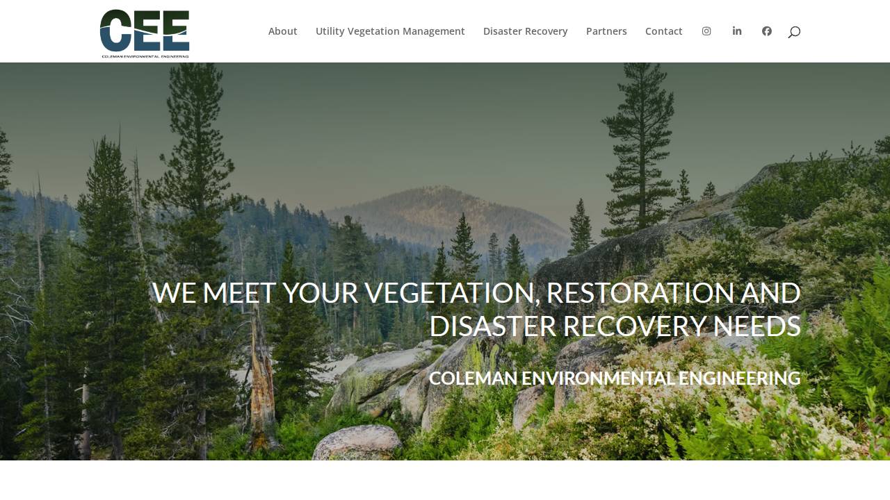 Coleman Environmentl Consulting INC website screenshot