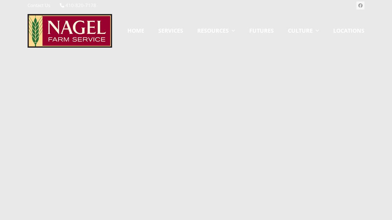 Nagel Grain Incorporated website screenshot