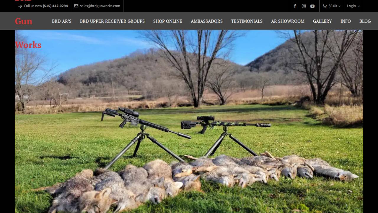 Willis J Bruhn website screenshot