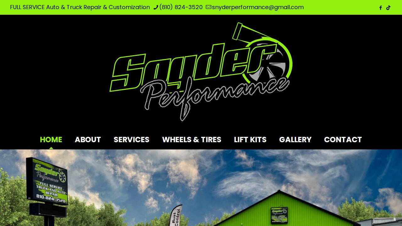 Joel H Snyder website screenshot